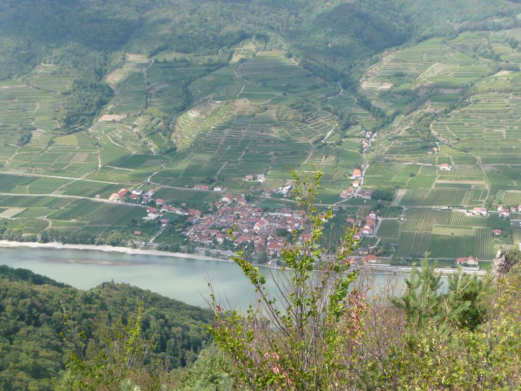 Weingut Langmayer Wösendorf Εξωτερικό φωτογραφία