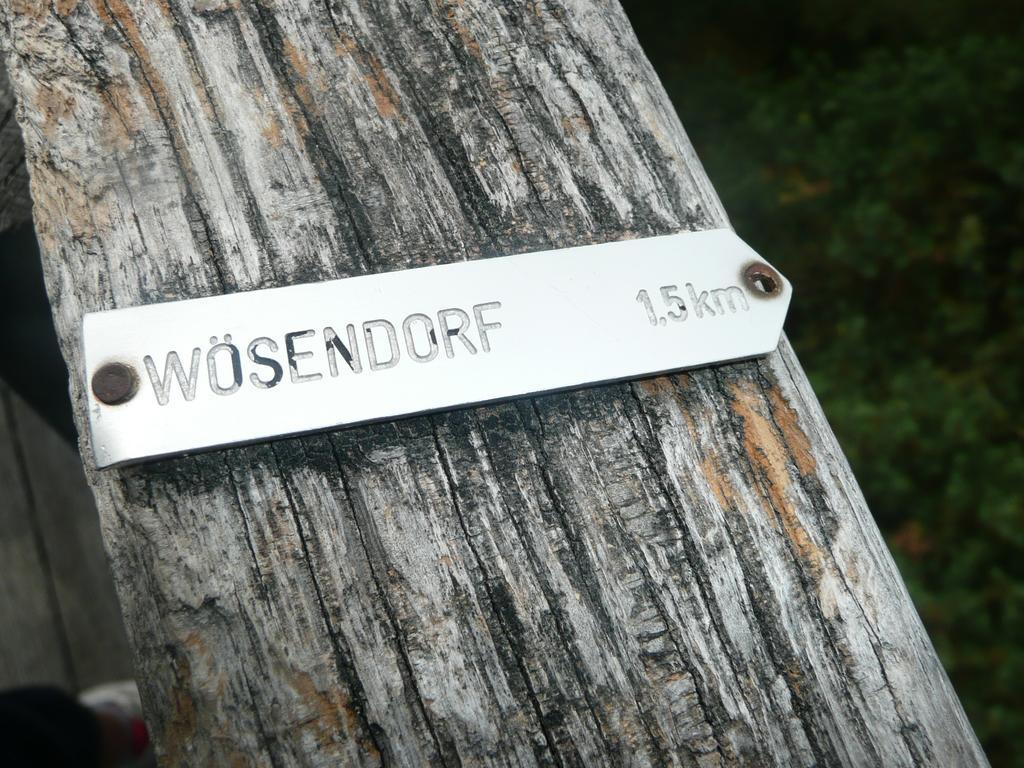 Weingut Langmayer Wösendorf Εξωτερικό φωτογραφία