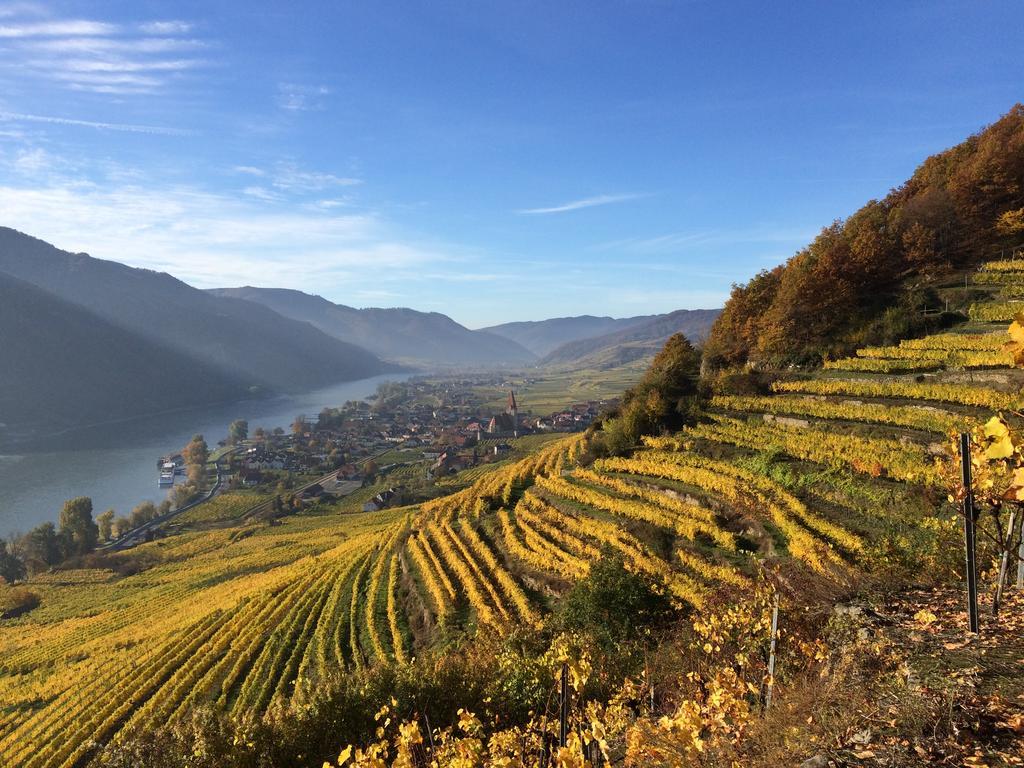 Weingut Langmayer Wösendorf Εξωτερικό φωτογραφία