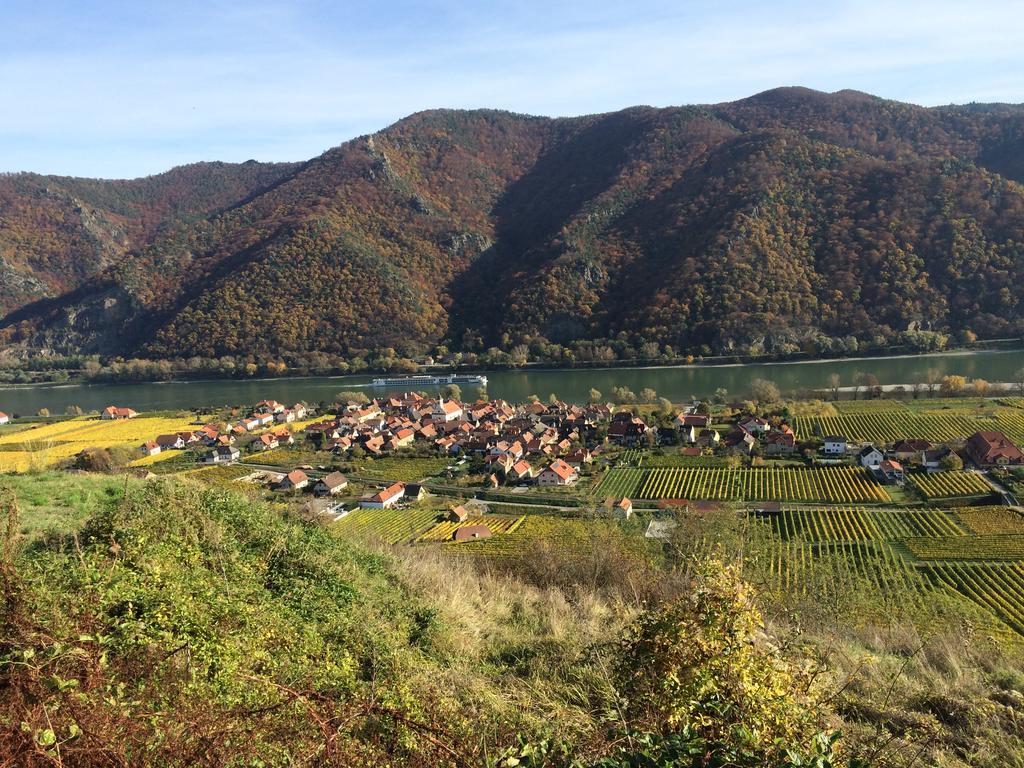 Weingut Langmayer Wösendorf Εξωτερικό φωτογραφία